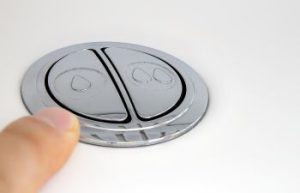 Low Flow Toilet